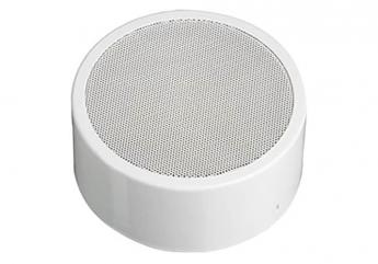 10W 8" Yuvarlak Duvar veya Tavan Yüzey Montajlı Hoparlör Metal